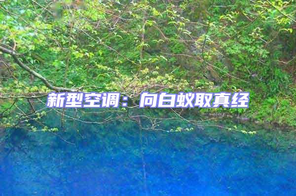 新型空調:向白蟻取真經