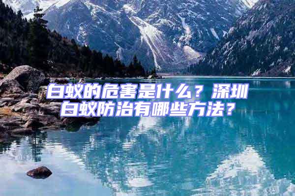 白蟻的危害是什么？深圳白蟻防治有哪些方法？