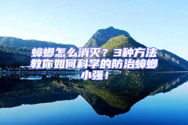 蟑螂怎么消滅?3種方法教你如何科學(xué)的防治蟑螂小強!