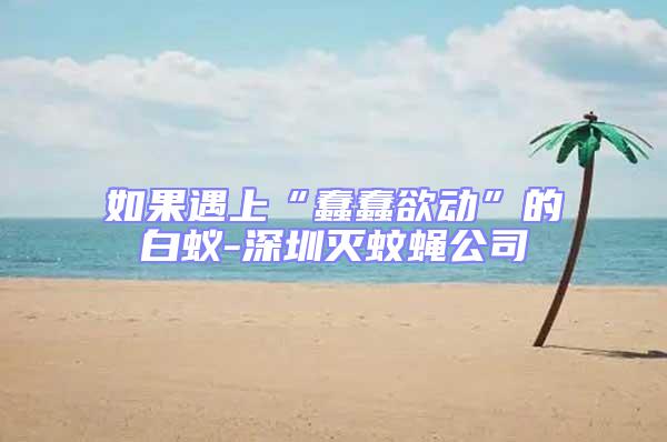 如果遇上“蠢蠢欲動(dòng)”的白蟻-深圳滅蚊蠅公司