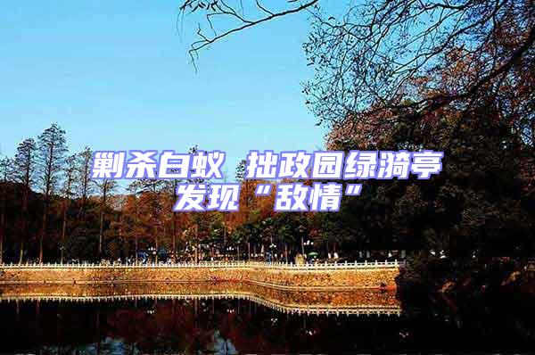 剿殺白蟻 拙政園綠漪亭發(fā)現(xiàn)“敵情”