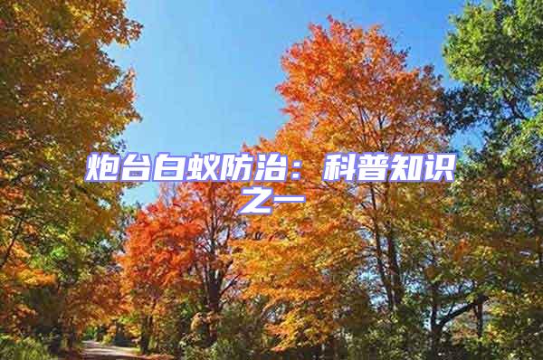 炮臺白蟻防治:科普知識之一