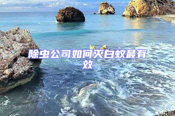 除蟲(chóng)公司如何滅白蟻?zhàn)钣行?/></p>
<p> 在日常生活中,人們常把白蟻當(dāng)作螞蟻,或俗稱(chēng);白螞蟻;。實(shí)際上白蟻跟螞蟻在昆蟲(chóng)綱的分類(lèi)體系中,它們分屬等翅目跟膜翅目標(biāo)昆蟲(chóng)。今天,專(zhuān)業(yè)除蟲(chóng)公司就教大家如何有效滅白蟻:除蟲(chóng)公司在白蟻防治重要有兩個(gè)方面:一是白蟻的滅治,這重要是常見(jiàn)于建造物等在受到白蟻迫害后采取的一種滅治手段。二是采取防備白蟻侵入迫害的一種手段,多用于新建屋宇的防備,依據(jù)多年教訓(xùn)總結(jié):</p>
<p style=