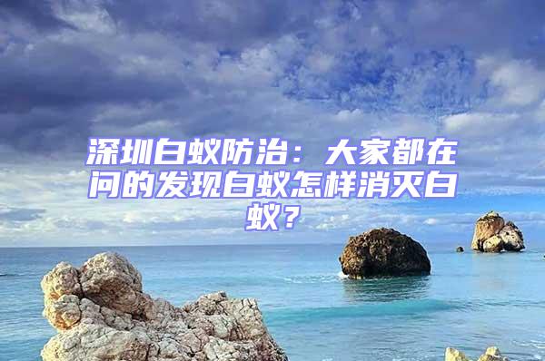 深圳白蟻防治：大家都在問的發現白蟻怎樣消滅白蟻？