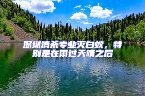 深圳消殺專業滅白蟻，特別是在雨過天晴之后