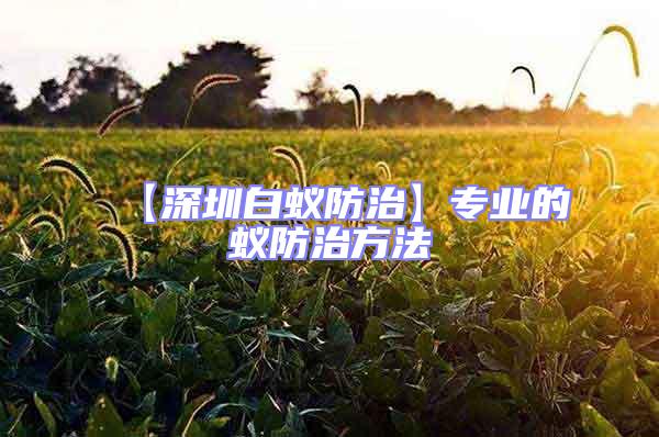 【深圳白蟻防治】專業的蟻防治方法