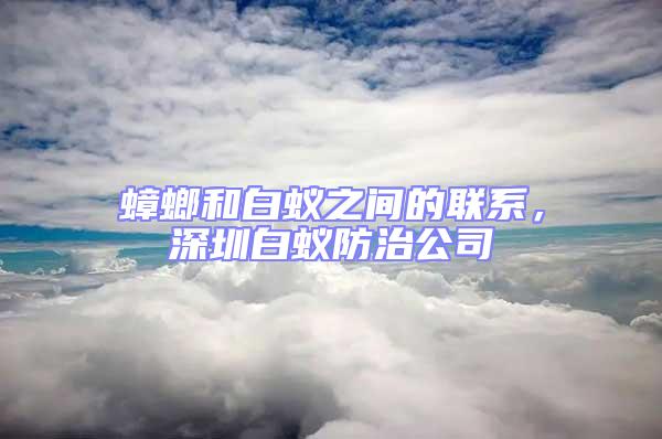 蟑螂和白蟻之間的聯(lián)系，深圳白蟻防治公司