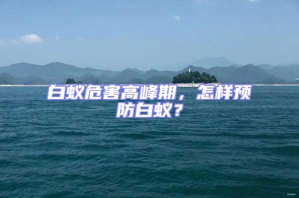 白蟻危害高峰期，怎樣預防白蟻？