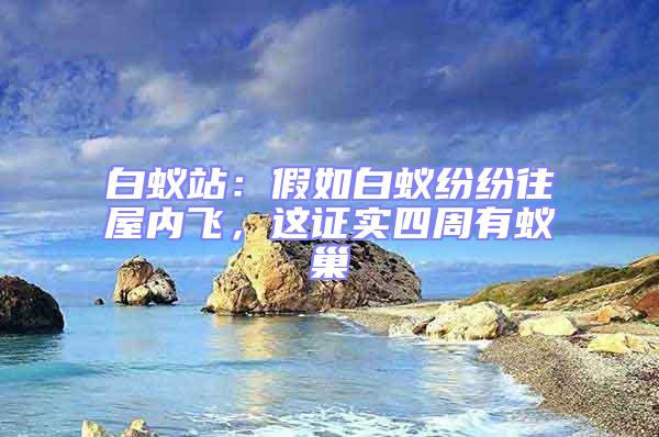 白蟻站:假如白蟻紛紛往屋內(nèi)飛,這證實四周有蟻巢