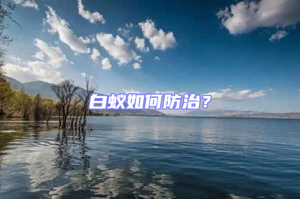 白蟻如何防治？