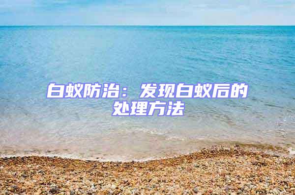 白蟻防治：發現白蟻后的處理方法