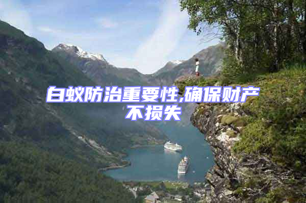 白蟻防治重要性,確保財產不損失