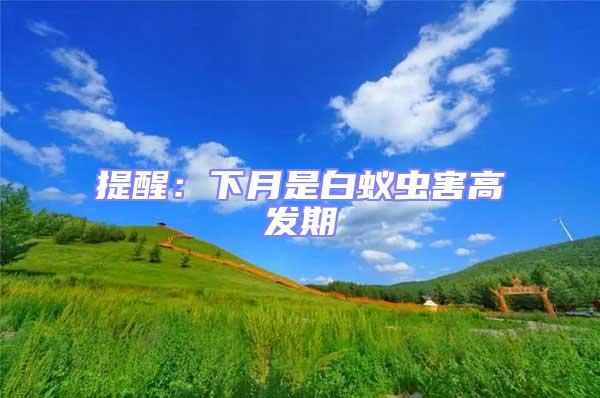 提醒:下月是白蟻蟲害高發期