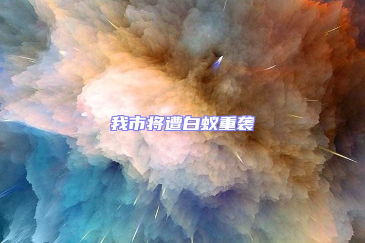 我市將遭白蟻重襲