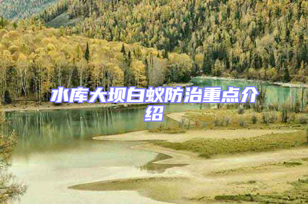 水庫大壩白蟻防治重點(diǎn)介紹