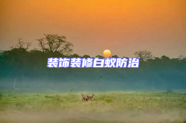 裝飾裝修白蟻防治