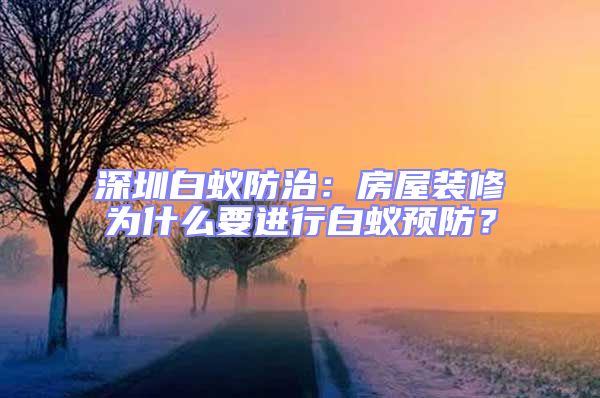 深圳白蟻防治:房屋裝修為什么要進(jìn)行白蟻預(yù)防?