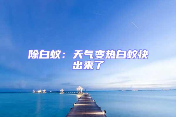 除白蟻:天氣變熱白蟻快出來了