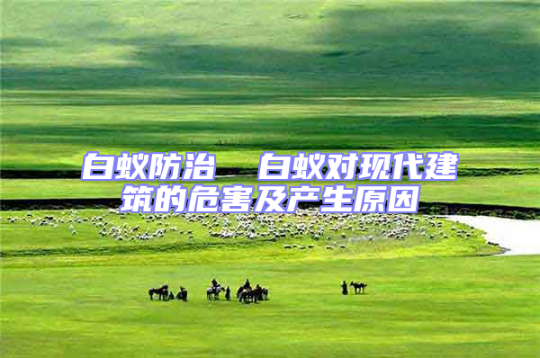 白蟻防治  白蟻對(duì)現(xiàn)代建筑的危害及產(chǎn)生原因