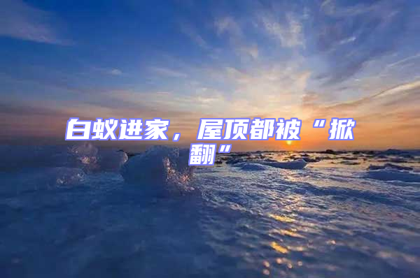 白蟻進家，屋頂都被“掀翻”