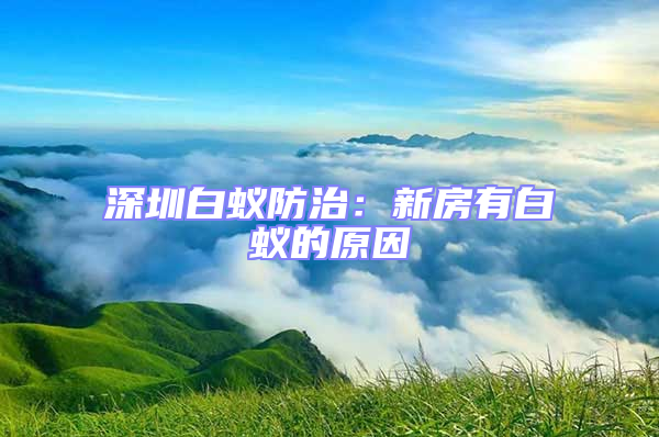 深圳白蟻防治:新房有白蟻的原因