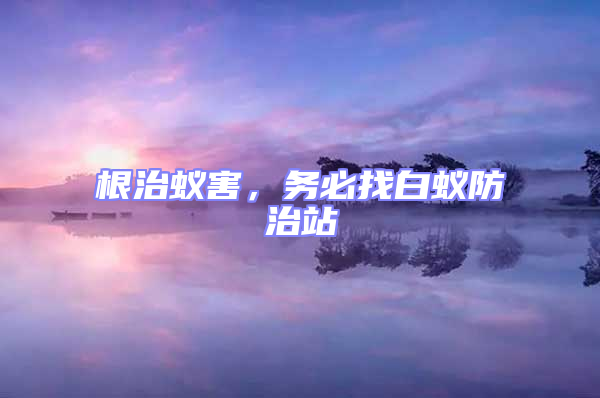 根治蟻害，務必找白蟻防治站