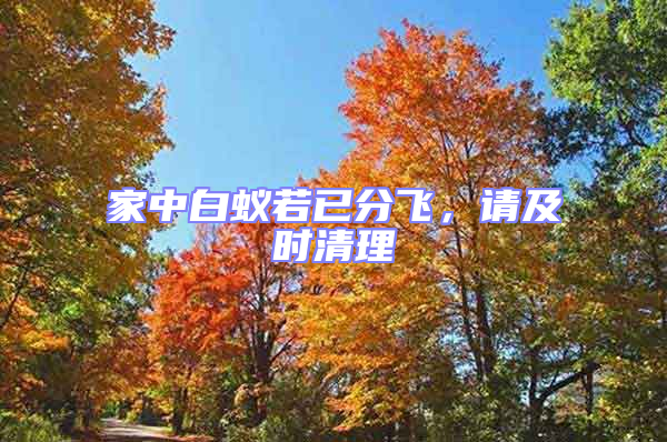 家中白蟻若已分飛，請(qǐng)及時(shí)清理
