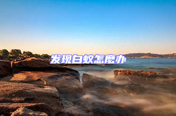 發現白蟻怎麼辦