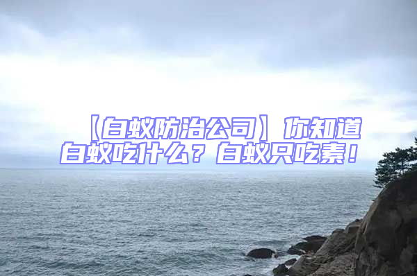 【白蟻防治公司】你知道白蟻吃什么？白蟻只吃素！