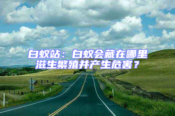 白蟻站：白蟻會藏在哪里滋生繁殖并產生危害？