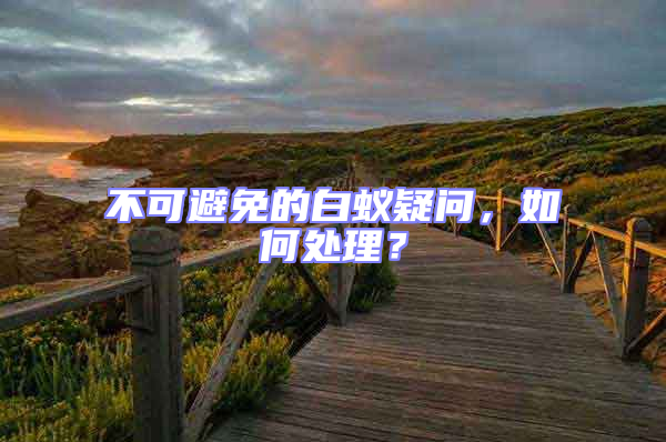 不可避免的白蟻疑問，如何處理？