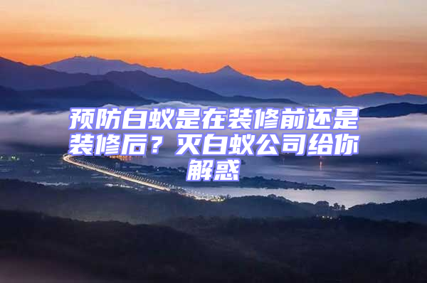 預防白蟻是在裝修前還是裝修后？滅白蟻公司給你解惑