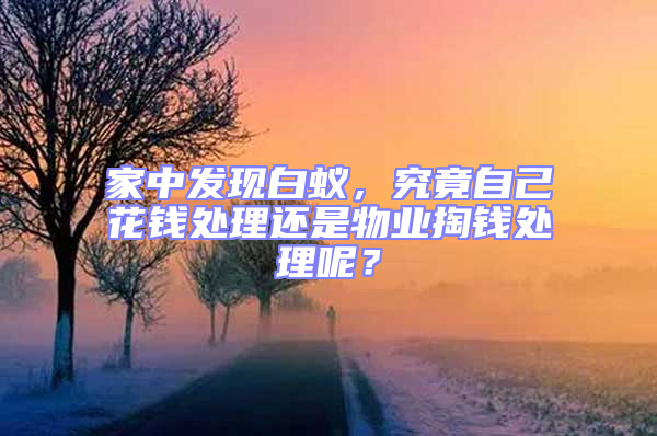 家中發現白蟻，究竟自己花錢處理還是物業掏錢處理呢？