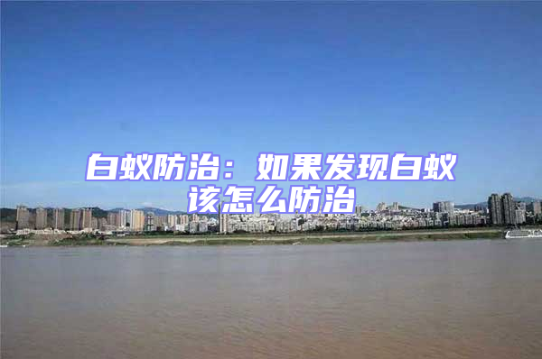 白蟻防治:如果發(fā)現白蟻該怎么防治