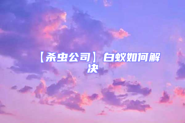 【殺蟲公司】白蟻如何解決