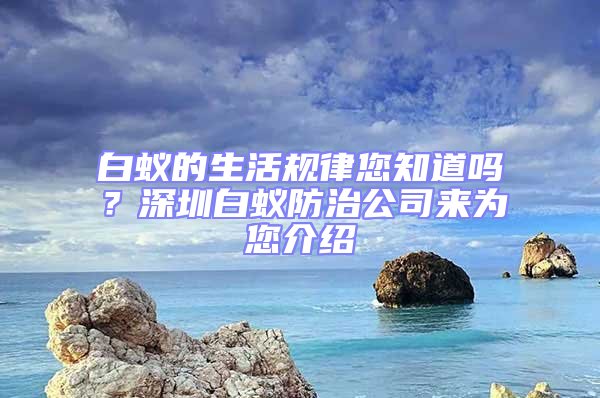 白蟻的生活規律您知道嗎？深圳白蟻防治公司來為您介紹