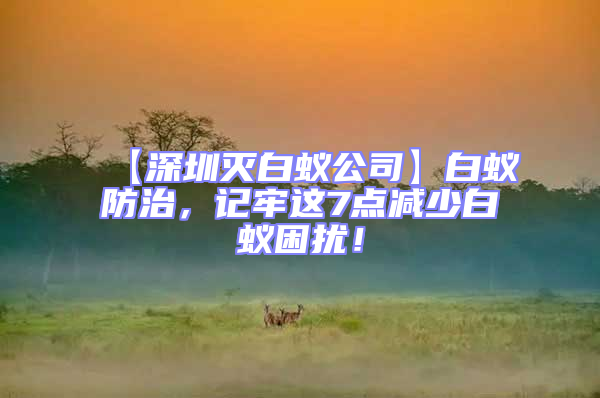 【深圳滅白蟻公司】白蟻防治，記牢這7點(diǎn)減少白蟻困擾！