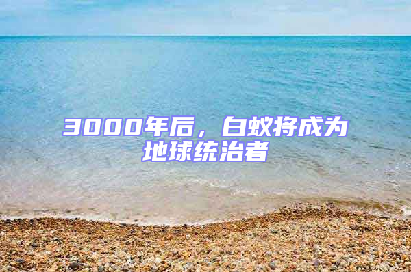 3000年后，白蟻將成為地球統(tǒng)治者