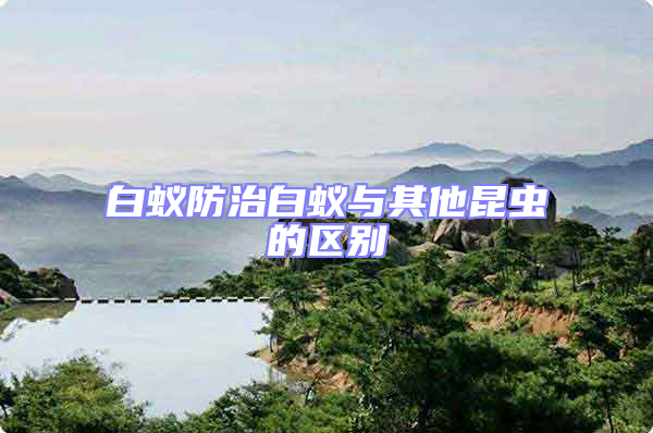 白蟻防治白蟻與其他昆蟲的區別