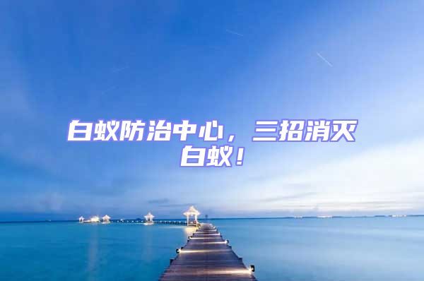 白蟻防治中心,三招消滅白蟻!