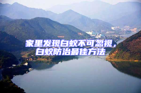 家里發現白蟻不可忽視，白蟻防治最佳方法