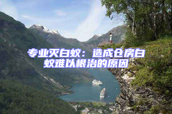 專業滅白蟻：造成倉房白蟻難以根治的原因