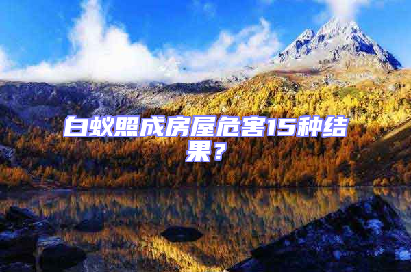 白蟻照成房屋危害15種結果?