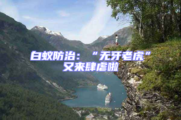 白蟻防治:“無牙老虎”又來肆虐啦