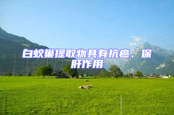 白蟻巢提取物具有抗癌、保肝作用