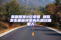 英國爆發2億老鼠 疑似發生基因突變身長超過喵星人