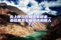 頭上停只蒼蠅沒有趕走....希拉里怎么就變成機(jī)器人了？