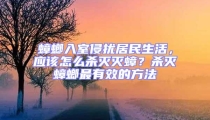 蟑螂入室侵擾居民生活，應該怎么殺滅滅蟑？殺滅蟑螂最有效的方法