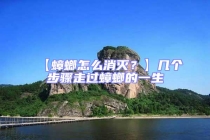 【蟑螂怎么消滅？】幾個(gè)步驟走過(guò)蟑螂的一生