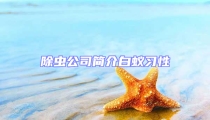 除蟲公司簡介白蟻習(xí)性